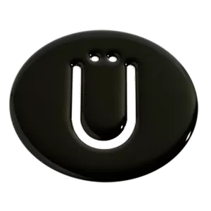 <br><strong>REN041</strong><br/>CARITA TWINGO RESINA