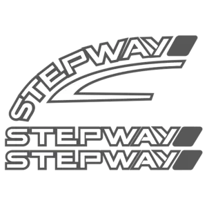 <br><strong>REN043</strong><br/>KIT STEPWAY MODELO 2009 / 2014