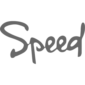 <br><strong>CHE183G</strong><br/>SPEED DE CHEVROLET AVEO