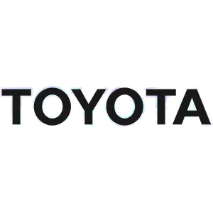 <br><strong>TOY080</strong><br/>TOYOTA GIGANTE DOBLE COLOR